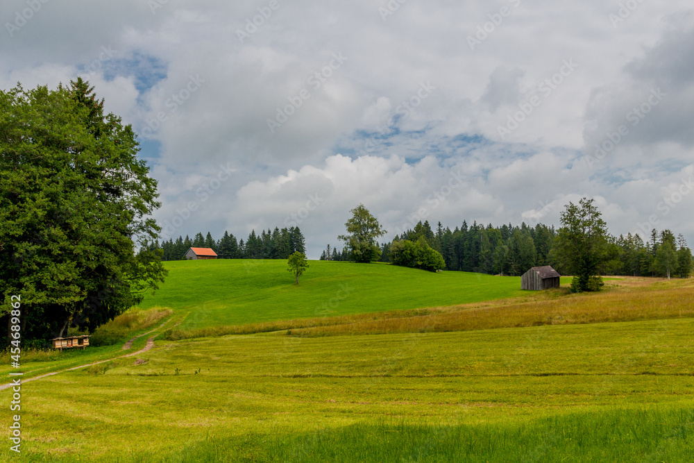 Wanderabenteuer rund um das schöne Wildrosenmoos im Westallgäus Wanderabenteuer rund um das schöne Wildrosenmoos im Westallgäus