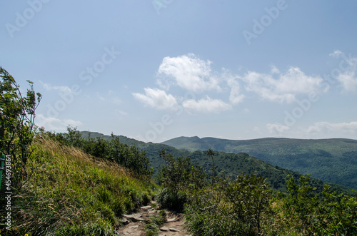 Fototapeta Naklejka Na Ścianę i Meble -  Panorama z Bukowego Berda Bieszczady 