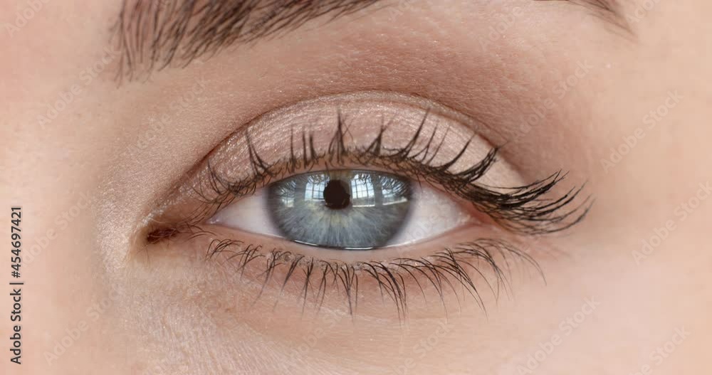 close up woman eye with makeup beautiful blue eye vision sense concept close up woman eye with makeup beautiful blue eye vision sense concept