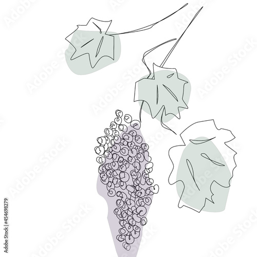 Grapes watercolor line art design