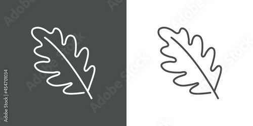 Icono silueta de hoja de roble con lineas en fondo gris y fondo blanco