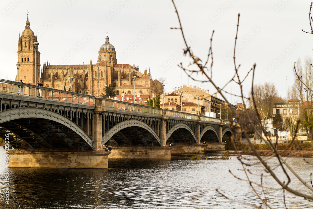 Fototapeta premium Catedral o Cathedral en la ciudad de Salamanca, comunidad autonoma de Castilla y Leon, pais de España o Spain