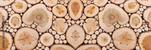 wooden background with texture of many tree trunks