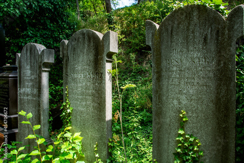 cmentarz żydowski 