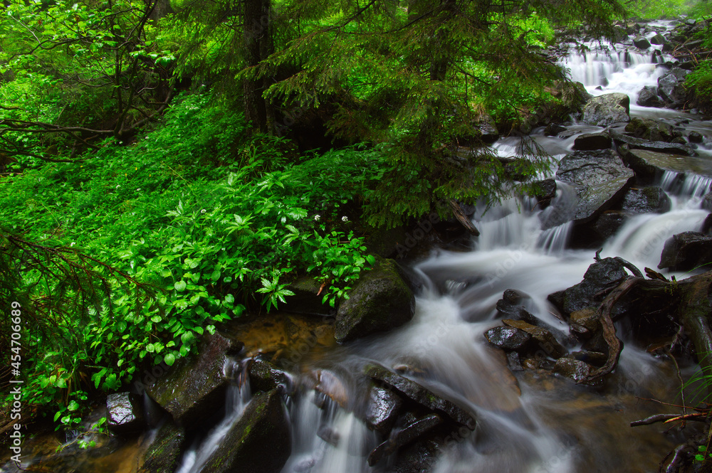 River in the woods River in the woods