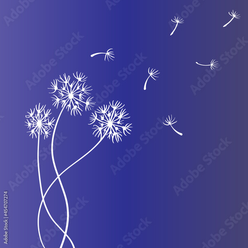 Dandelion flower sketch with flying seeds.