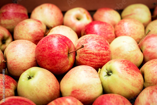 Obraz na płótnie Apples in cardboard boxes at a fruit factory w salonie