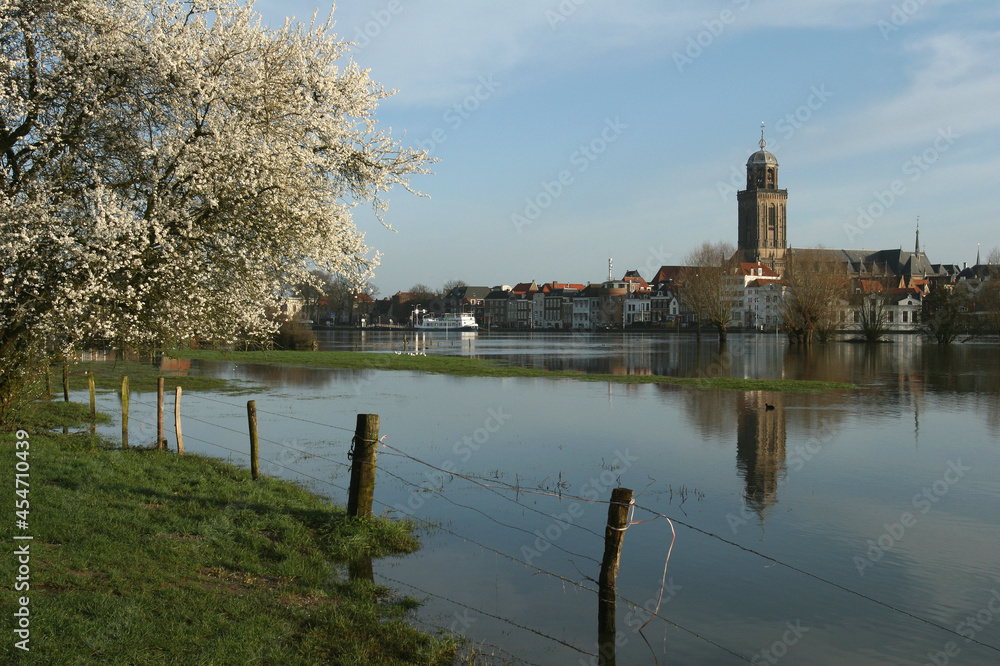 A view on the city of Deventer, the Netherlands, in springtime with reflection in a flooded meadow