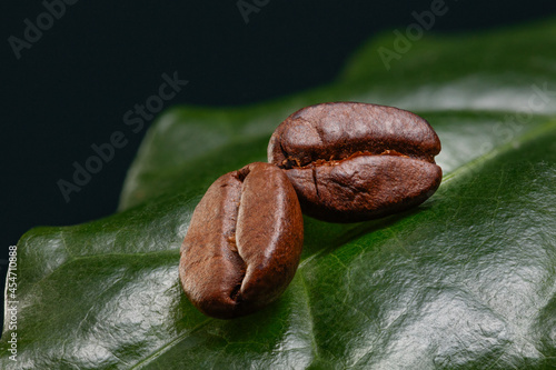 A leaf of a coffee tree  or plant with roasted coffee beans. Fresh coffee bean with coffee branch. Shallow depth of field.