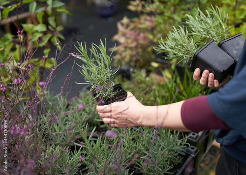 person holding a plant in a plant nursery