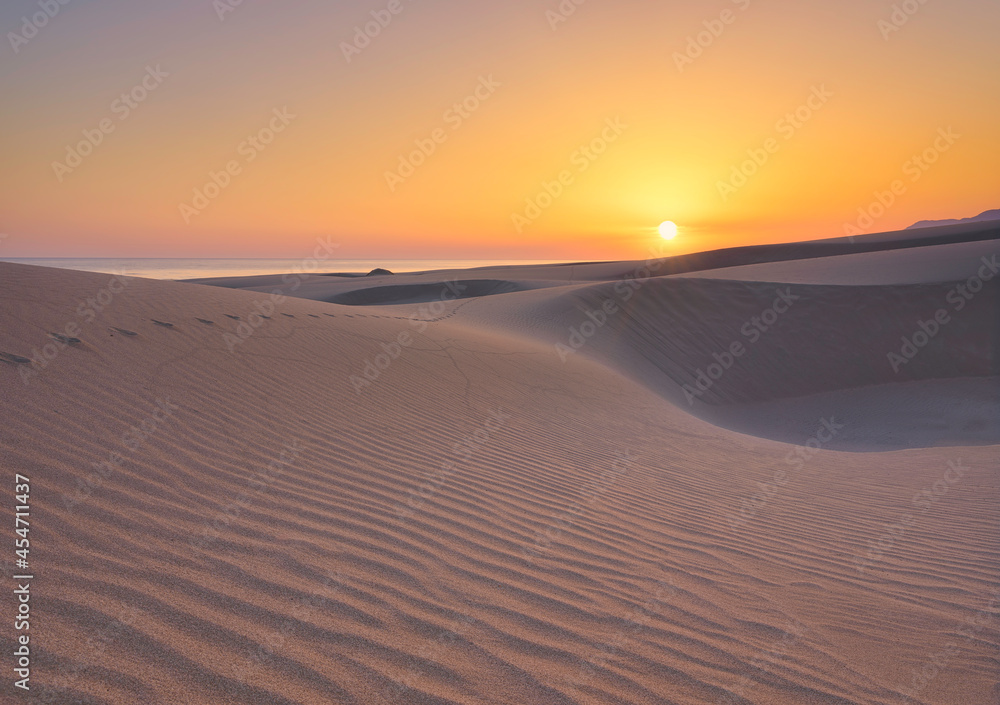 The sand dunes during sunset. Sun glow and dunes. Summer landscape in the desert. Hot weather. Lines in the sand. Landscape without people.