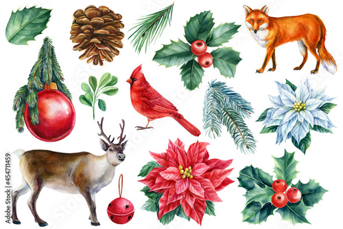 Christmas set of elements on white background, watercolor drawings, reindeer, fox, red cardinal, poinsettia and holly