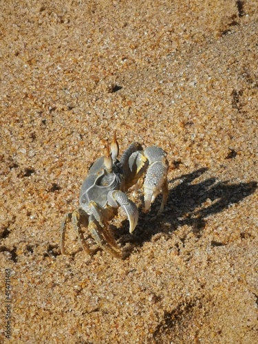 South Africa - wild coast.