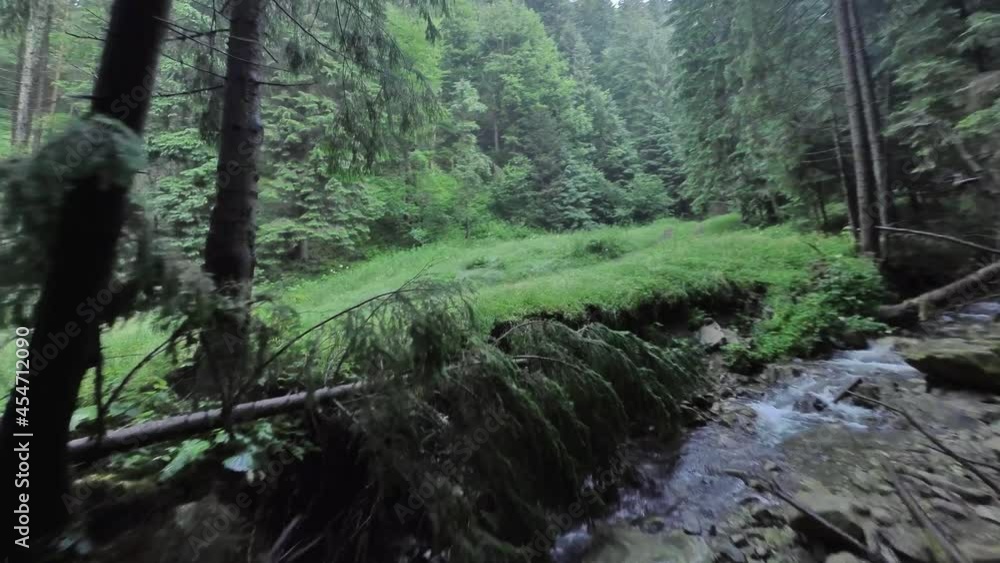 Smooth, rapid flight over a mountain river close to the water, among a dense forest. Mystical mountain landscape. Filmed on FPV drone. Smooth, rapid flight over a mountain river close to the water, among a dense forest. Mystical mountain landscape. Filmed on FPV drone.