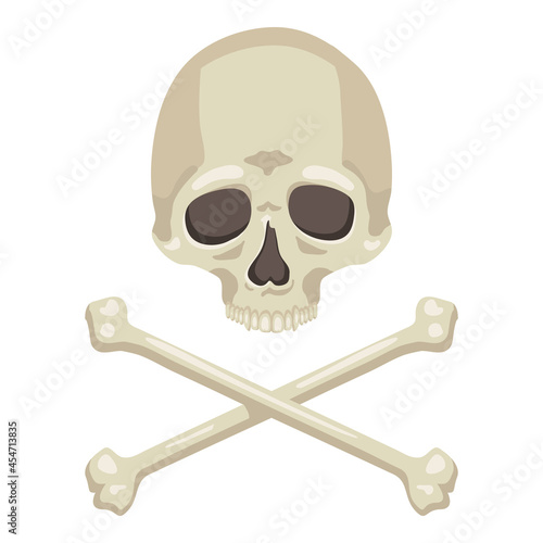 Vector Skull and Cross Bones Illustration on Isolated White Background