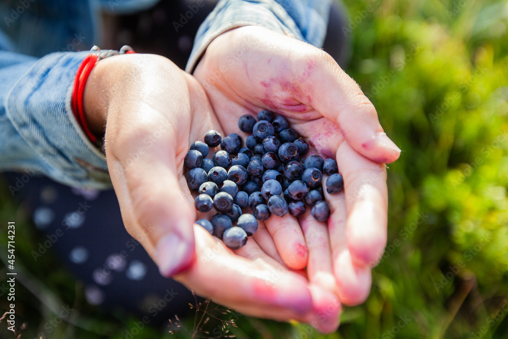 Fresh organic ripe wild blueberries in human hands. Healthy antioxidant food. Fresh organic ripe wild blueberries in human hands. Healthy antioxidant food.