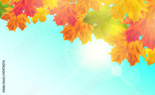 Autumn background with leaves. Realistic seasonal maple tree leaves with sunlight and sky for poster, banner, advert
