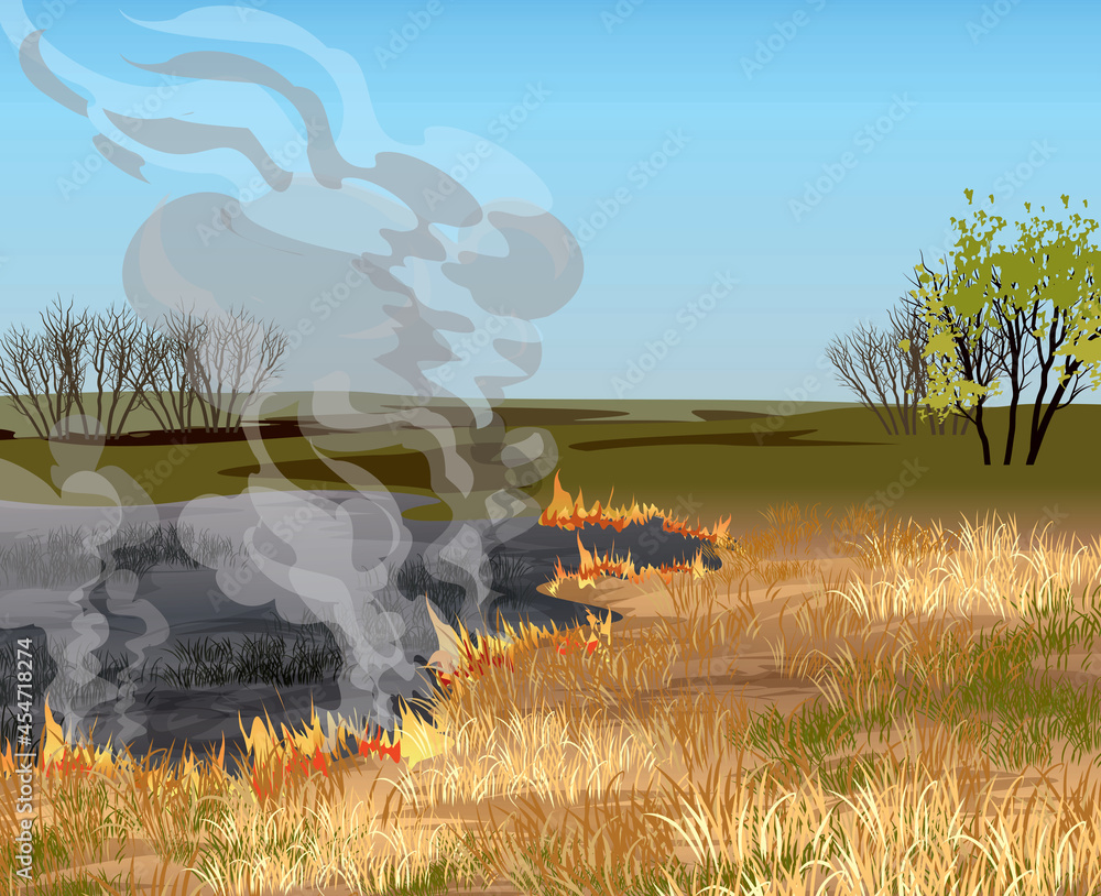 Fire in the field. Dry grass field in fire vector illustration. - obrazy, fototapety, plakaty 