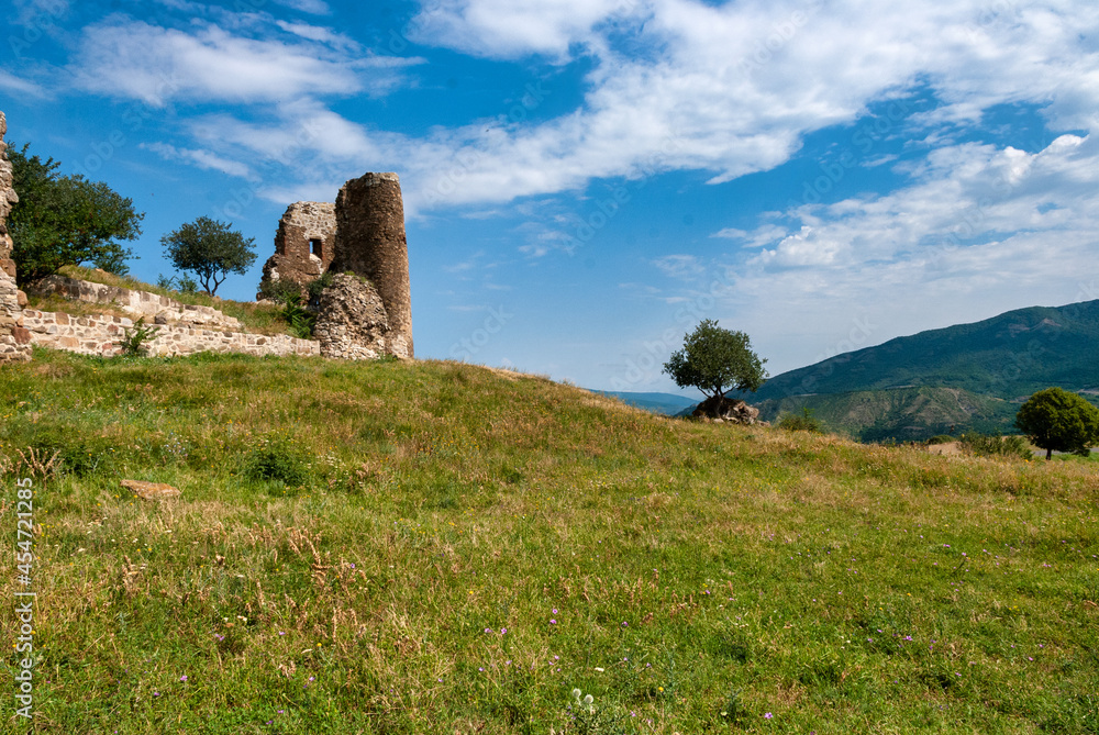 ruins of the castle