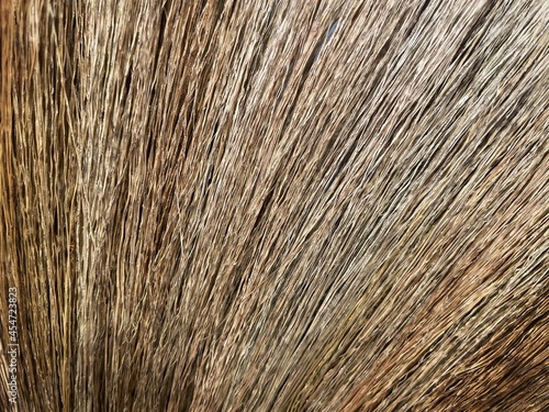 closeup of grass broom on wooden floor background.