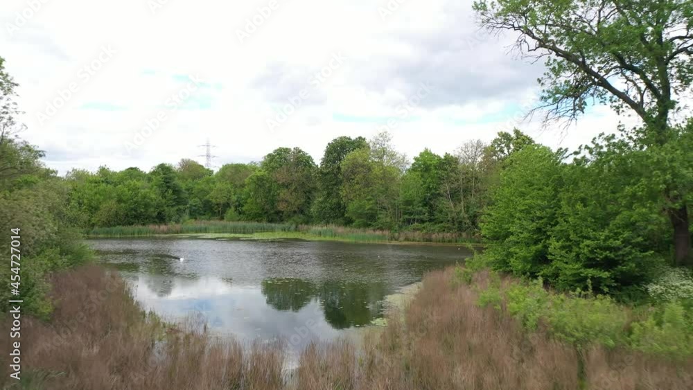 wilderness in public park. Pond with reeds at banks. Piece of nature in town wilderness in public park. Pond with reeds at banks. Piece of nature in town
