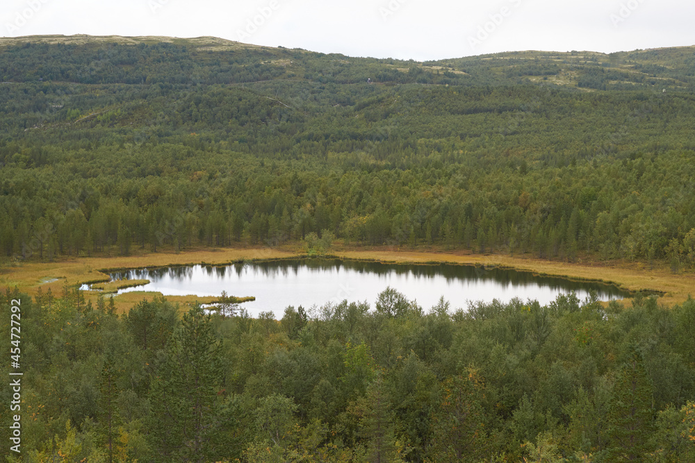 Northern forest, wonderful and beautiful nature Northern forest, wonderful and beautiful nature