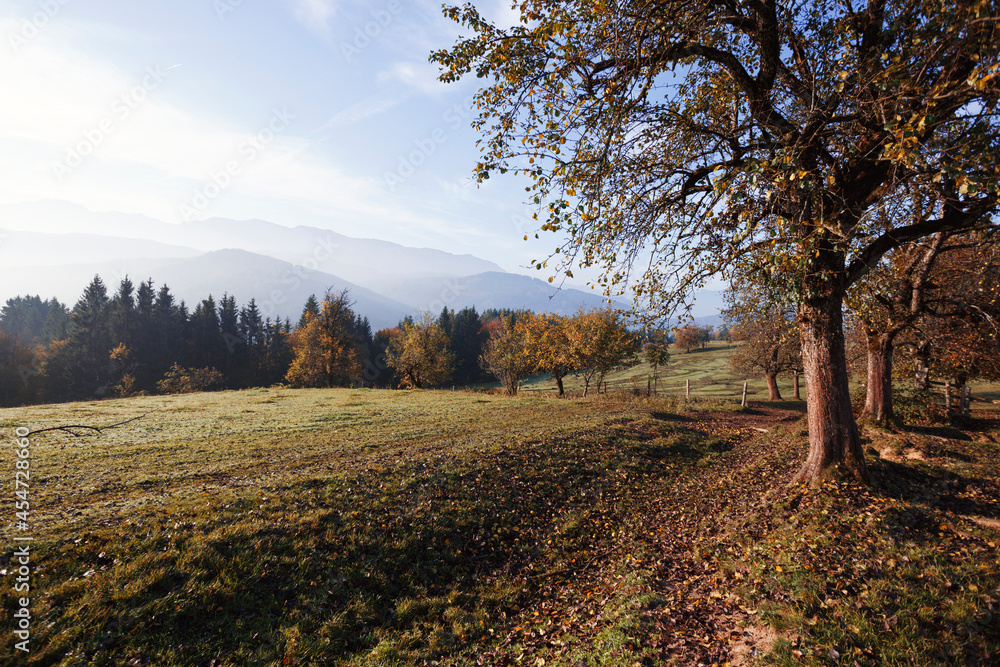 Fototapeta premium beautiful mountain landscape
