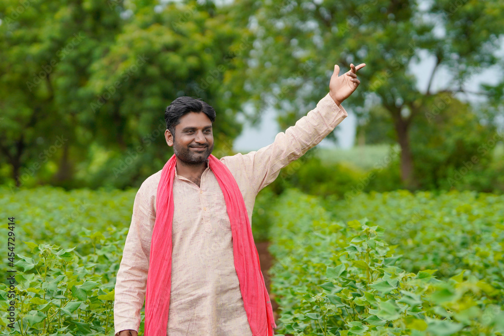 Obraz premium Young indian farmer standing in cotton agriculture field.