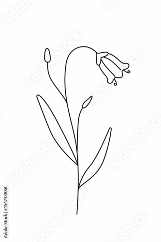 Contour coloring of the bell flower. A plant with a blue flower. Vector illustration on a white background. The icon is in a simple style.