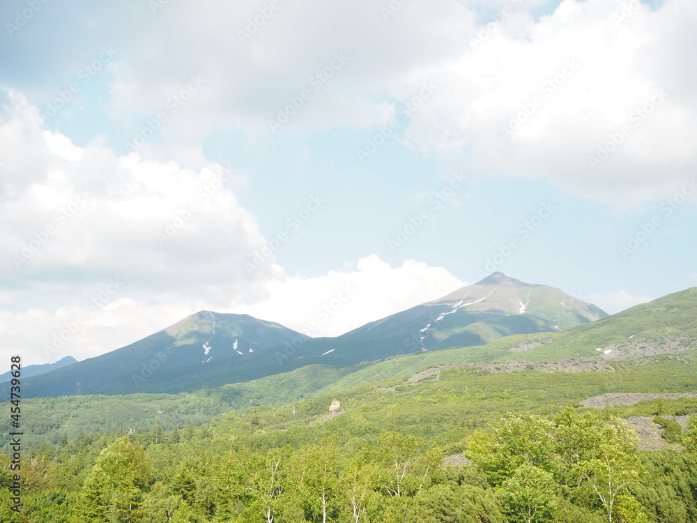 Fototapeta premium 十勝岳望岳台からの美しい山の風景