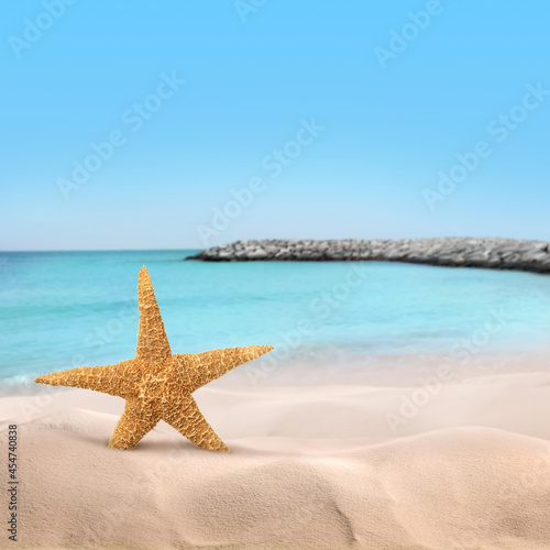 Beautiful sea star on sandy beach. Space for text