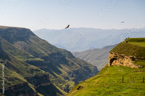 An atmospheric landscape with silhouettes of red and green mountains. Two eagles fly over a mountain gorge, a cow pasture. Dagestan. photo