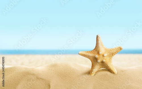 Beautiful sea star on sandy beach. Space for text