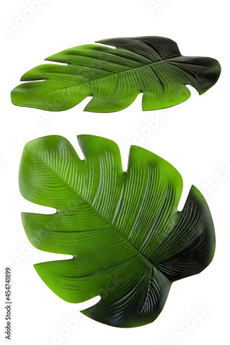 Monstera leaf (Latin: Monstera) is a bright green color, large isolated on a white background. Nature fauna plants.