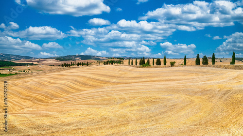 Typically Tuscany Landscape with acres and hayballs in summertime, Val d'Orcia, Siena Region, rolling landscape