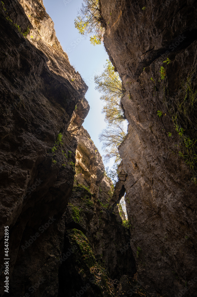 Bottom view from the stone bowl gorge in Dagestan. Amazingly beautiful steep cliffs, and trees grow on top, a summer trip on a sunny day.