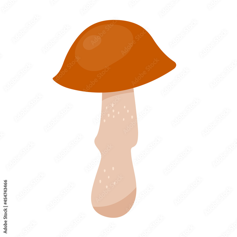 Orange cap boletus mushroom in flat style. Hand drawn vector illustration of edible wild forest mushroom. Autumn symbol, organic food icon. Isolated element for design