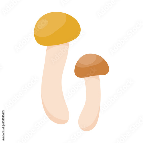 Small boletus mushroom in flat style. Hand drawn vector illustration of edible wild forest mushroom. Autumn symbol, organic food icon. Isolated element for design