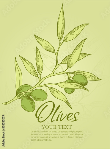 green design poster of olive branch