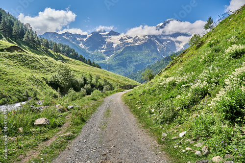 road in the mountains between green alpine meadows and a mountain river. snow-capped mountain peaks