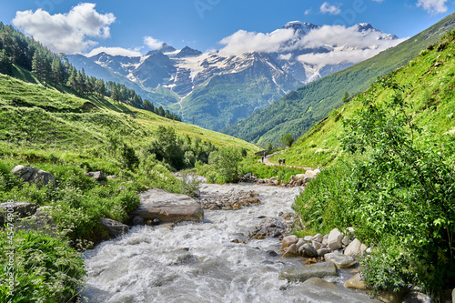road in the mountains between green alpine meadows and a mountain river. snow-capped mountain peaks