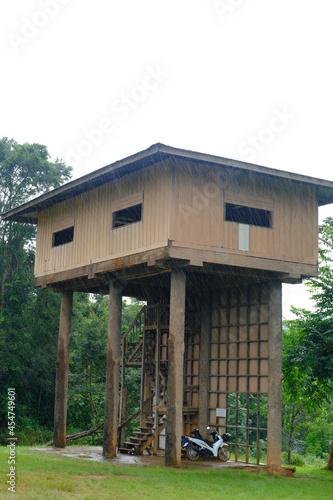 Wallpaper Mural Beautiful and fertile nature and forests Torontodigital.ca