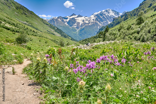 road in the mountains between green alpine meadows and a mountain river. snow-capped mountain peaks