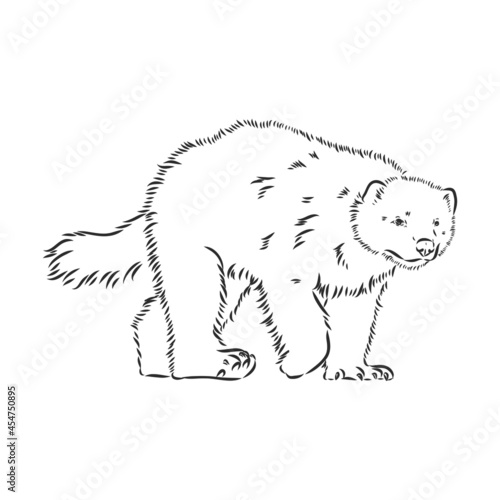 vector hand sketch drawing illustration of a wolverine done in black and white