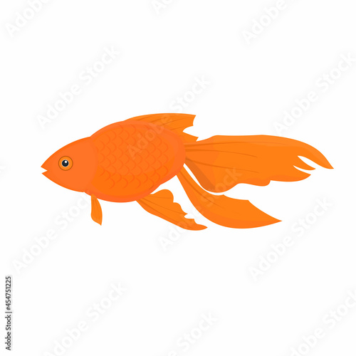 Goldfish. Beautiful fish, vector illustration