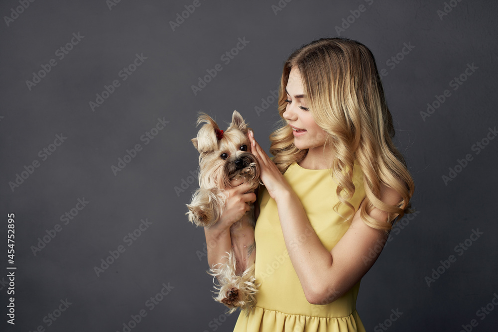 pretty woman a small dog pet fun cropped view fashion pretty woman a small dog pet fun cropped view fashion