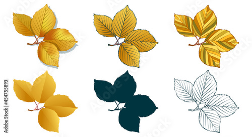 Big set of vector fall tree leaf shapes drawing in different styles  hand-drawn sketch  silhouette  flat  cartoon are isolated on white background. Alder branch with golden leaves coloring sheet.