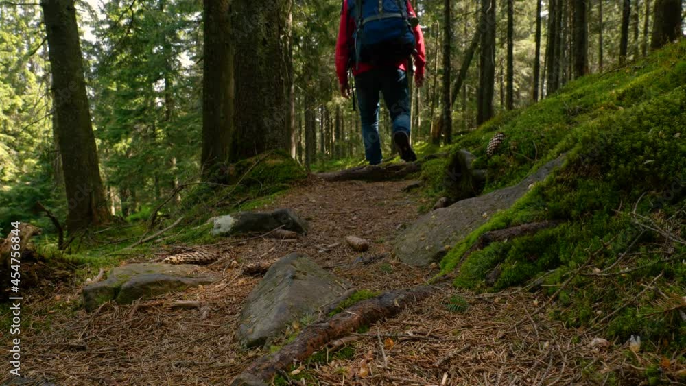 Tourist guy with a backpack walks along a trail in a beautiful forest Tourist guy with a backpack walks along a trail in a beautiful forest