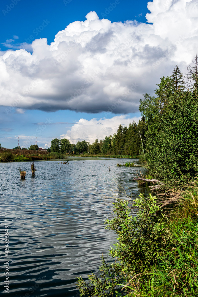 Fototapeta premium lake and forest