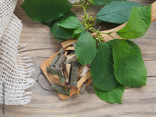 Leaves, flowers and bark of the buckthorn tree in a wooden spoon with a napkin on a wooden table. Medicinal plant rhamnus frangula for use in alternative herbal medicine, homeopathy and cosmology photo